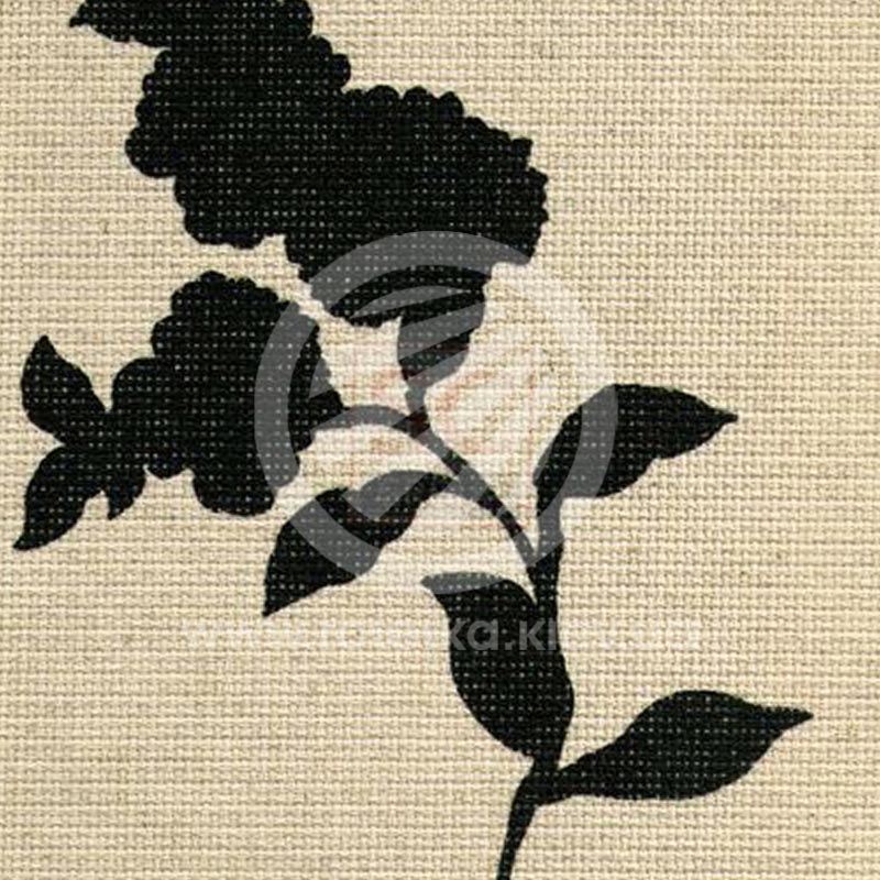 Chainaya_Rosa_4083.jpg 