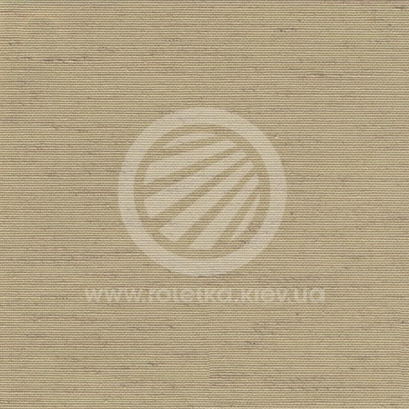 Djaipur_2060.jpg 