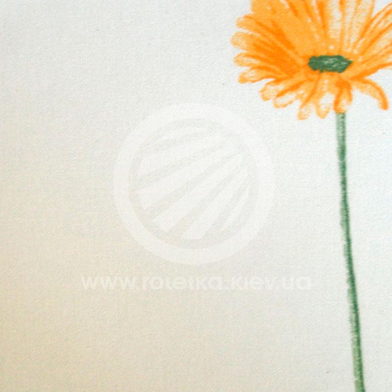 Gerbera_4025.jpg 