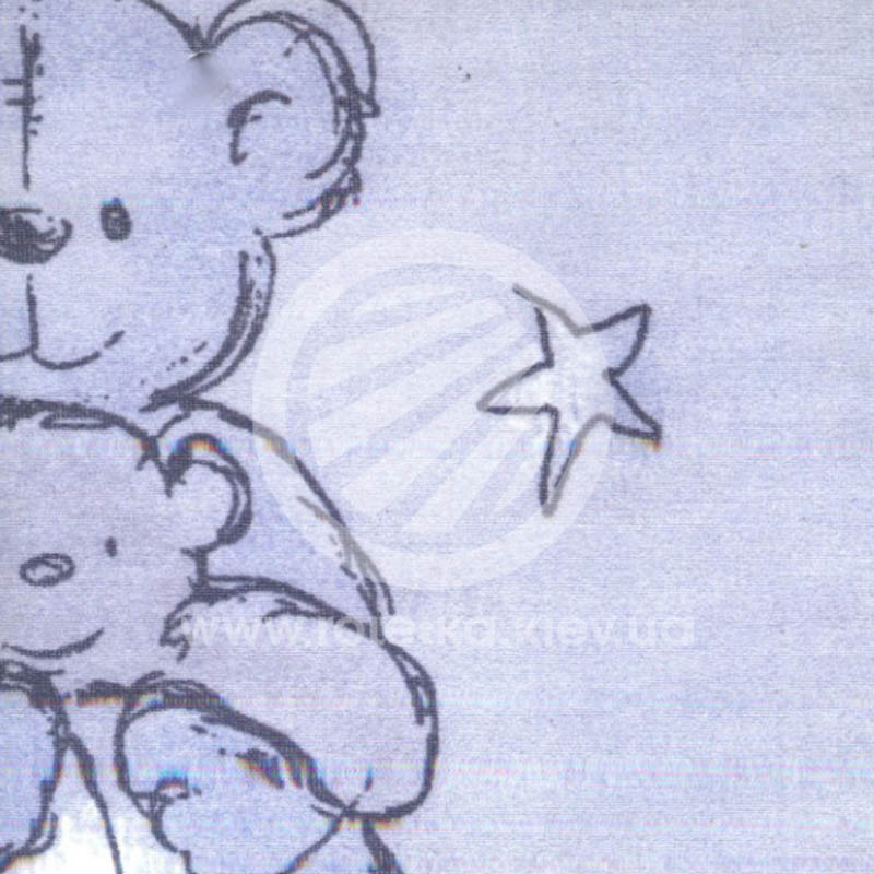 Teddy_b_o_4099.jpg 